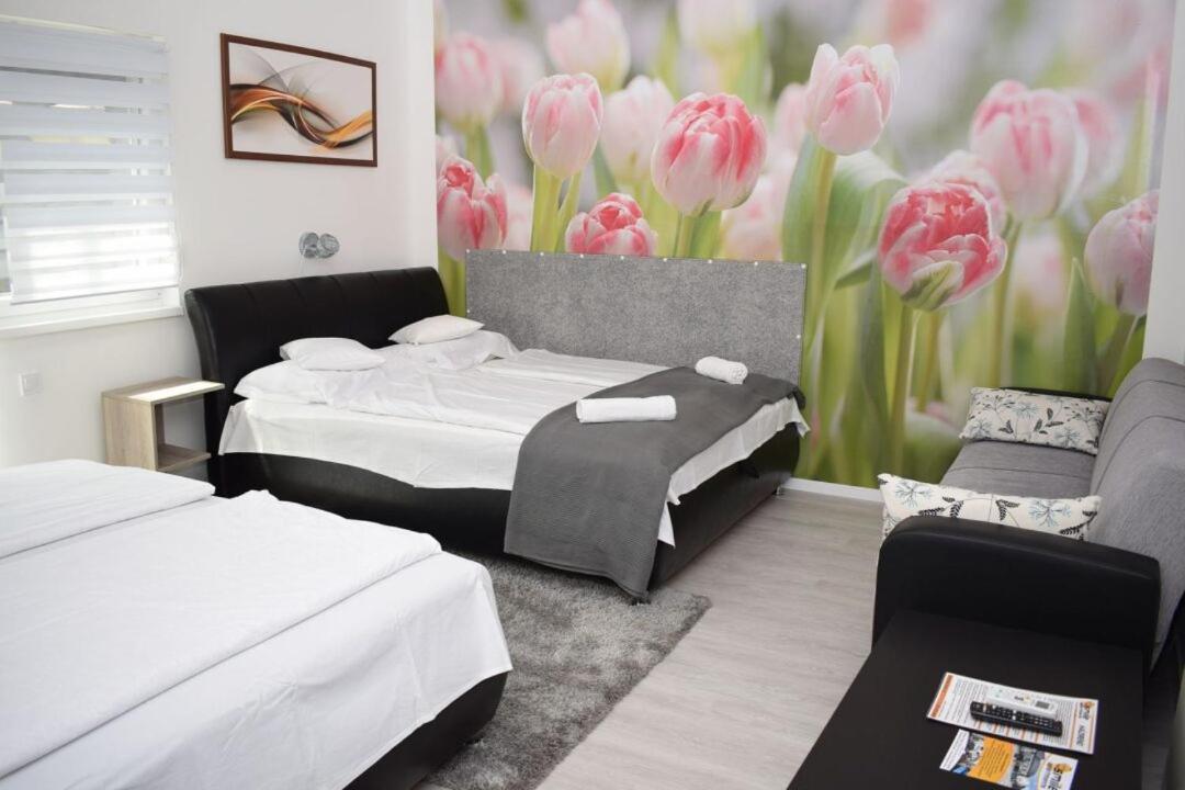 Trendi Apartman 시오포크 객실 사진